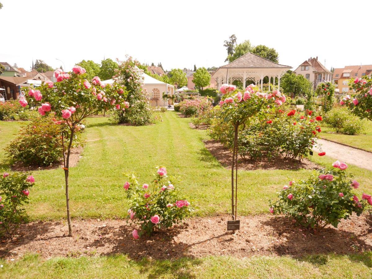 Appartamento Le Jardin Des Roses Saverne Esterno foto