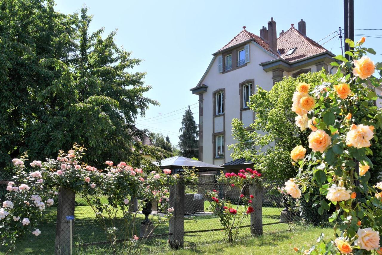 Appartamento Le Jardin Des Roses Saverne Esterno foto