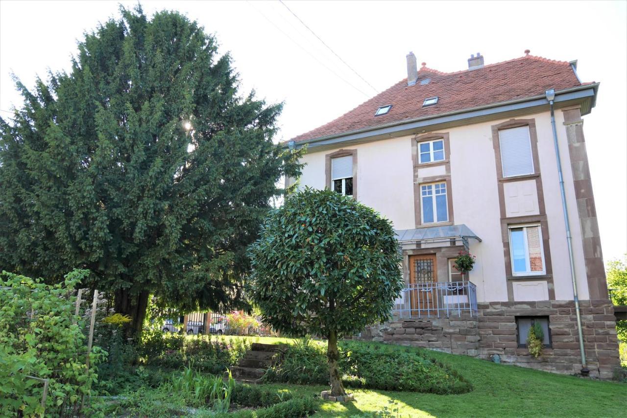 Appartamento Le Jardin Des Roses Saverne Esterno foto